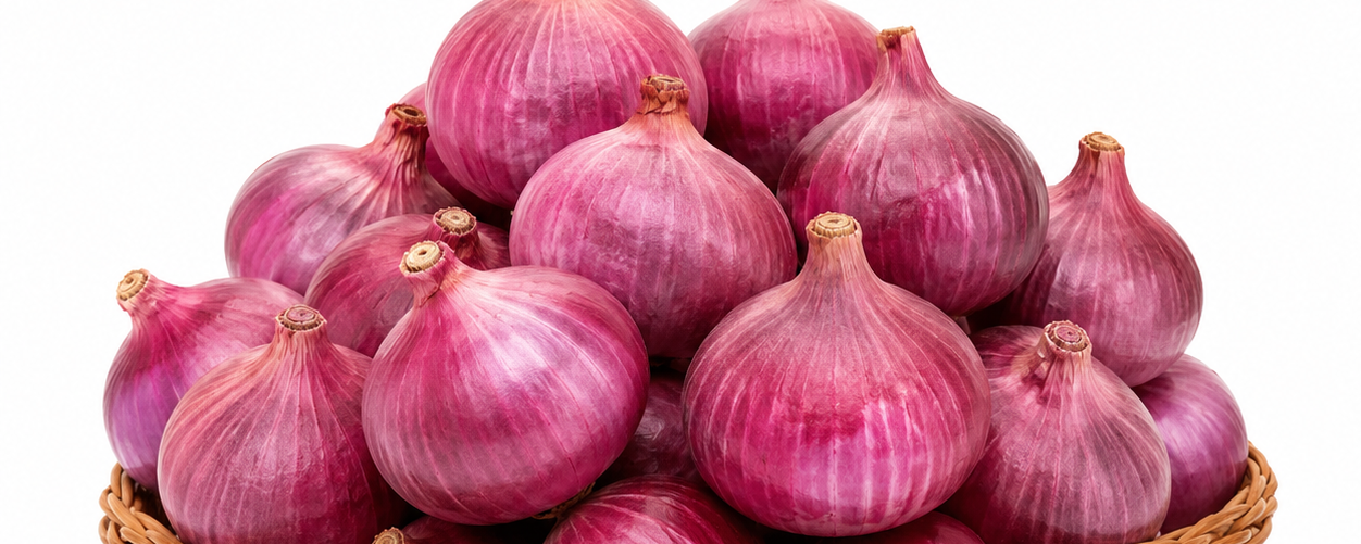 Fresh Onion,